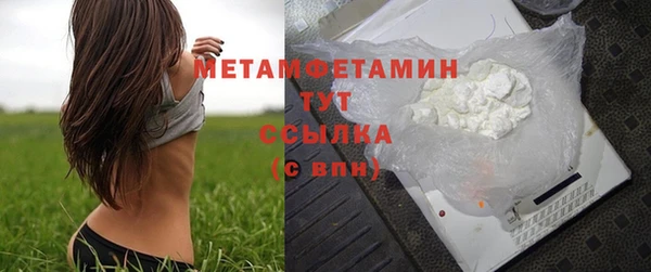 прущие грибы Верхний Тагил
