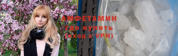 прущие грибы Верхний Тагил