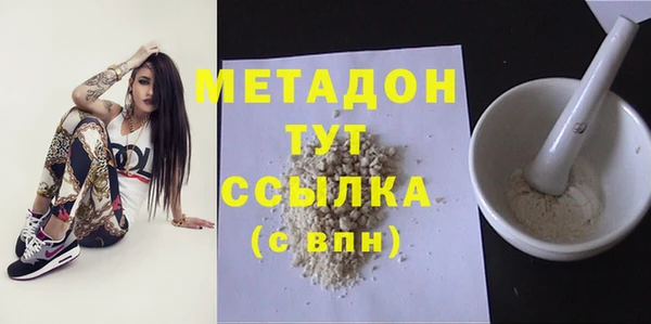 прущие грибы Верхний Тагил
