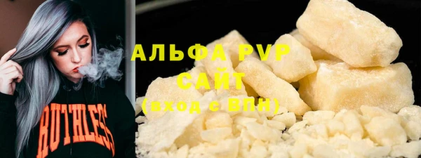 прущие грибы Верхний Тагил