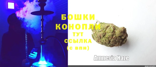 прущие грибы Верхний Тагил