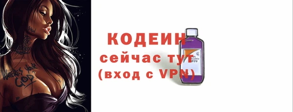 прущие грибы Верхний Тагил