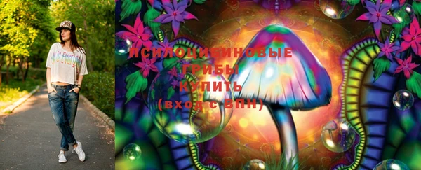 прущие грибы Верхний Тагил