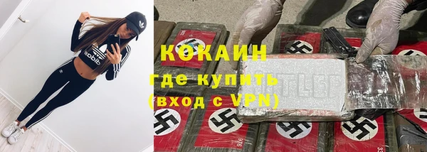прущие грибы Верхний Тагил