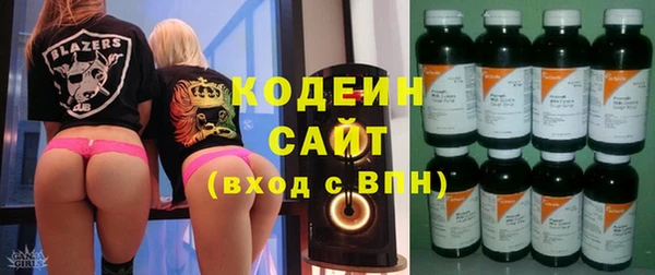 прущие грибы Верхний Тагил