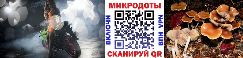 Псилоцибиновые грибы Psilocybine cubensis  blacksprut маркетплейс  сайты даркнета как зайти  Рыбинск 